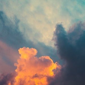 Meet your Posher, Jade